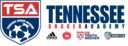 Club crest