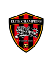Club crest