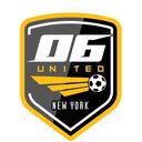 Club crest