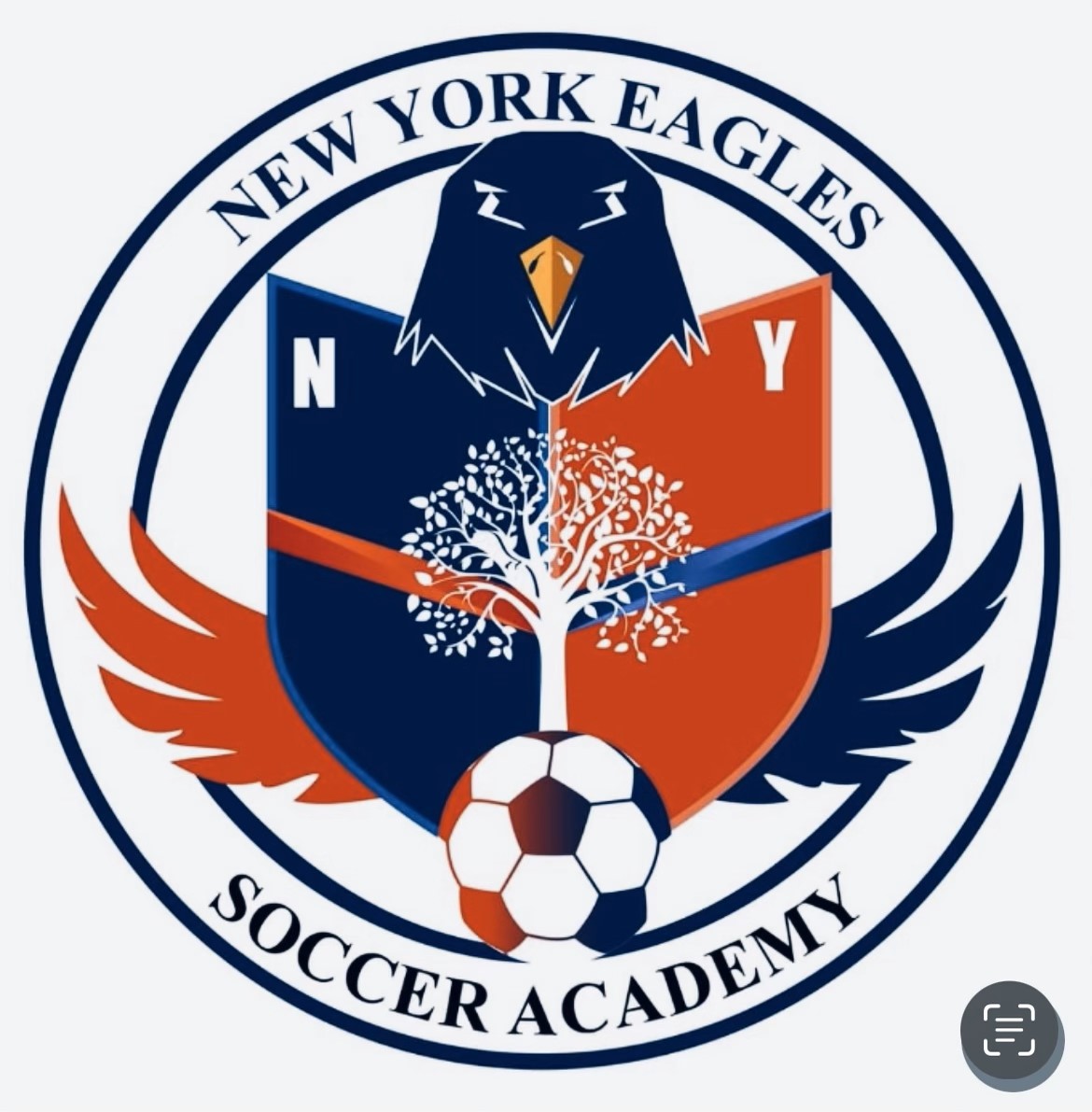 Club crest