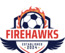 Club crest