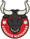 Club crest
