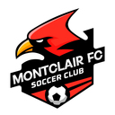 Club crest