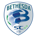 Club crest