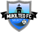 Club crest