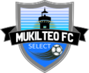 Club crest