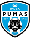 Club crest