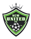 Club crest