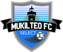 Club crest