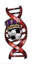 Club crest