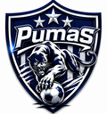 Club crest