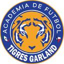 Club crest