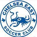 Club crest