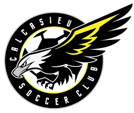 Club crest