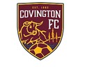 Club crest