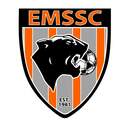 Club crest