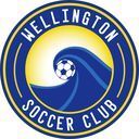 Club crest