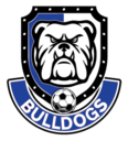 Club crest