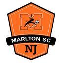 Club crest