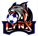 Club crest