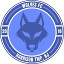 Club crest