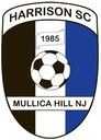 Club crest