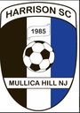 Club crest