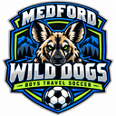 Club crest