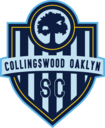 Club crest
