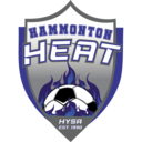 Club crest