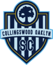 Club crest