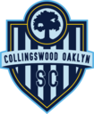 Club crest