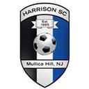 Club crest