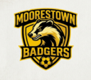 Club crest