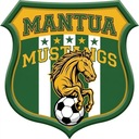 Club crest