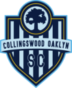 Club crest