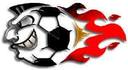 Club crest