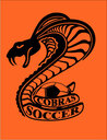 Club crest