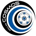 Club crest