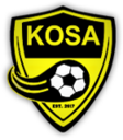 Club crest