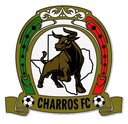 Club crest