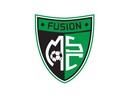 Club crest