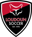 Club crest