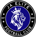 Club crest