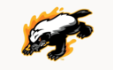 Club crest