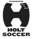 Club crest