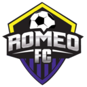 Club crest