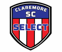 Club crest