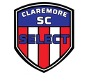 Club crest