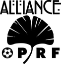 Club crest